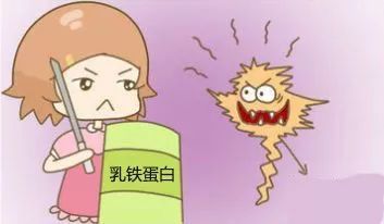 乳铁蛋白代加工