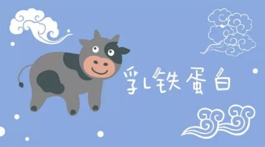 乳铁蛋白代加工