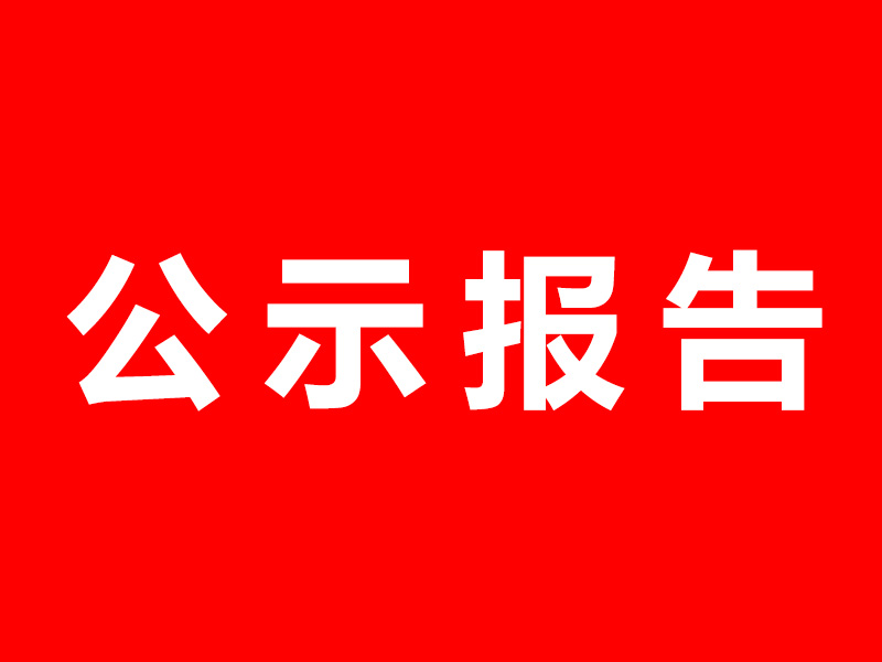公示报告